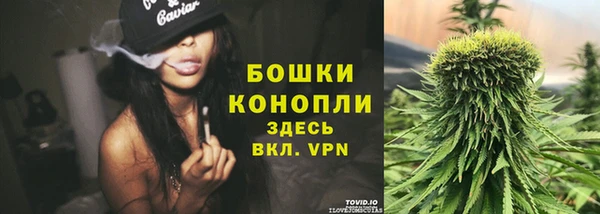 индика Зеленодольск