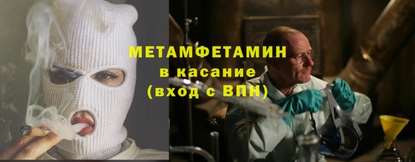 индика Зеленодольск