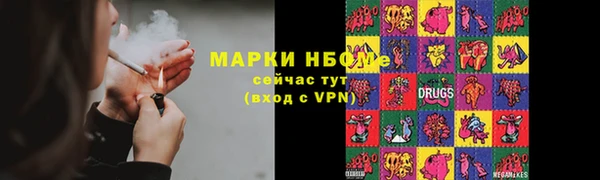 индика Зеленодольск