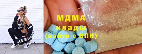 индика Зеленодольск